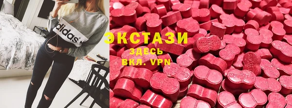 ГАЛЛЮЦИНОГЕННЫЕ ГРИБЫ Белокуриха