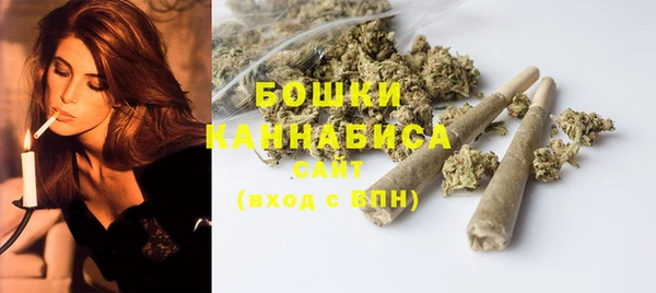 стафф Богданович